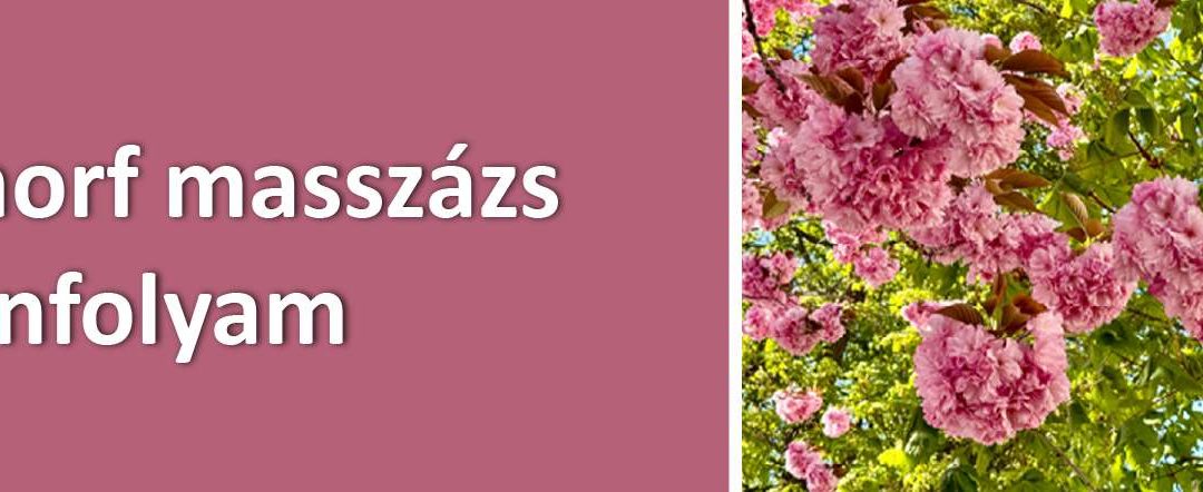 Metamorf masszázs tanfolyam Bánkuti Ágnessel